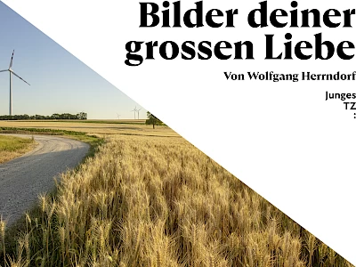 Bilder deiner grossen Liebe