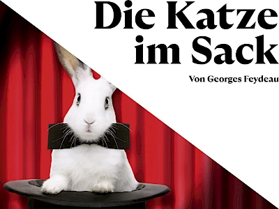 die_katze_im_sack_premieren_26-27_web_2500x1875px