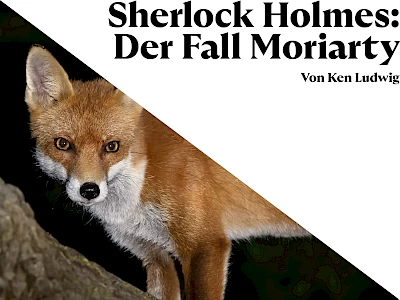 tkz_premieren_25-26_sherlock_holmes_der_fall_moriarty